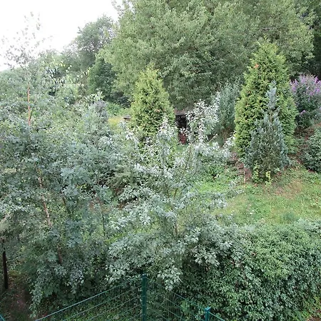 Am Wald Apartment